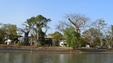 Baobab Island (Sita Joyeh) - Afbeelding 2