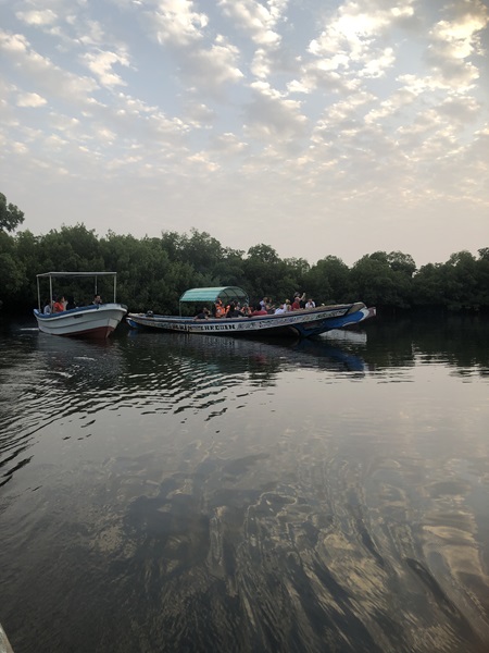 Saloum Delta National Parc (Senegal) - Afbeelding 3
