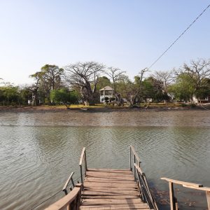 Baobab Island (Sita Joyeh)