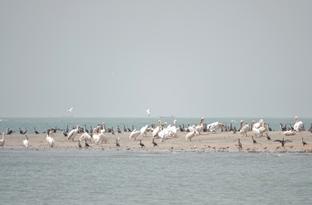 Bijol Islands - Afbeelding 3