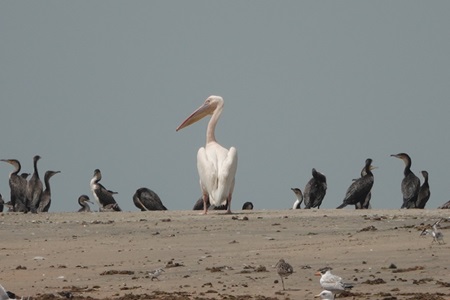 Bijol Islands - Afbeelding 2