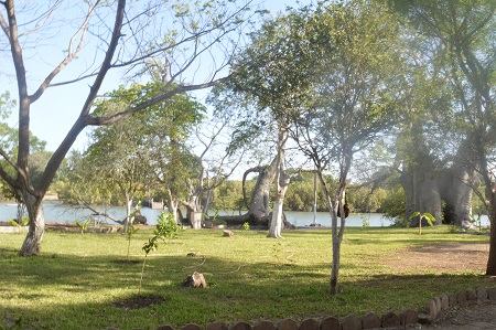Baobab Island (Sita Joyeh) - Afbeelding 4