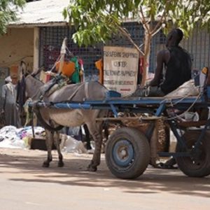Farafenni Sunday Market en Afrikaanse entertainment