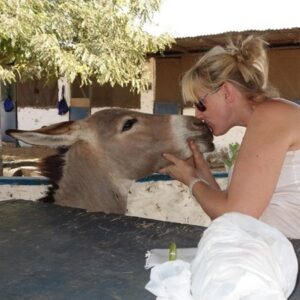 Gambia Horse and Donkey Trust