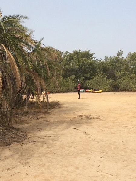 Kajakken door de mangroves - Afbeelding 5