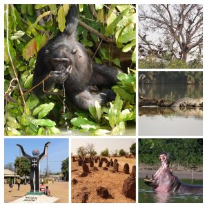 7-daagse rondreis door het binnenland van Gambia